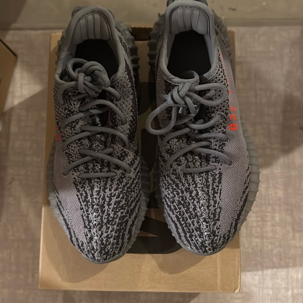 Yeezy Boost 350 V2 grey/borang/DGSOGR